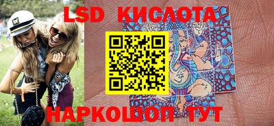 крисы Кулебаки