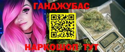 крисы Кулебаки