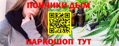 крисы Кулебаки