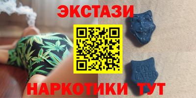 крисы Кулебаки